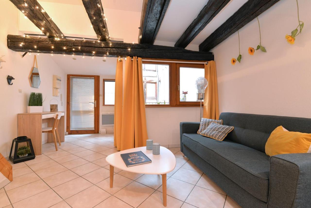 Appartement La Terrasse Sur Cour Colmar Bagian luar foto