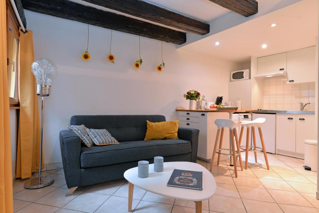 Appartement La Terrasse Sur Cour Colmar Bagian luar foto